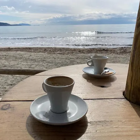 Le Patio Aux Oiseaux Oda ve Kahvaltı La Ciotat