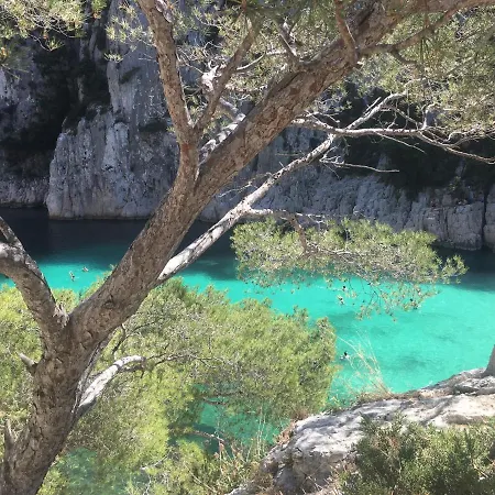 Le Patio Aux Oiseaux 4*
